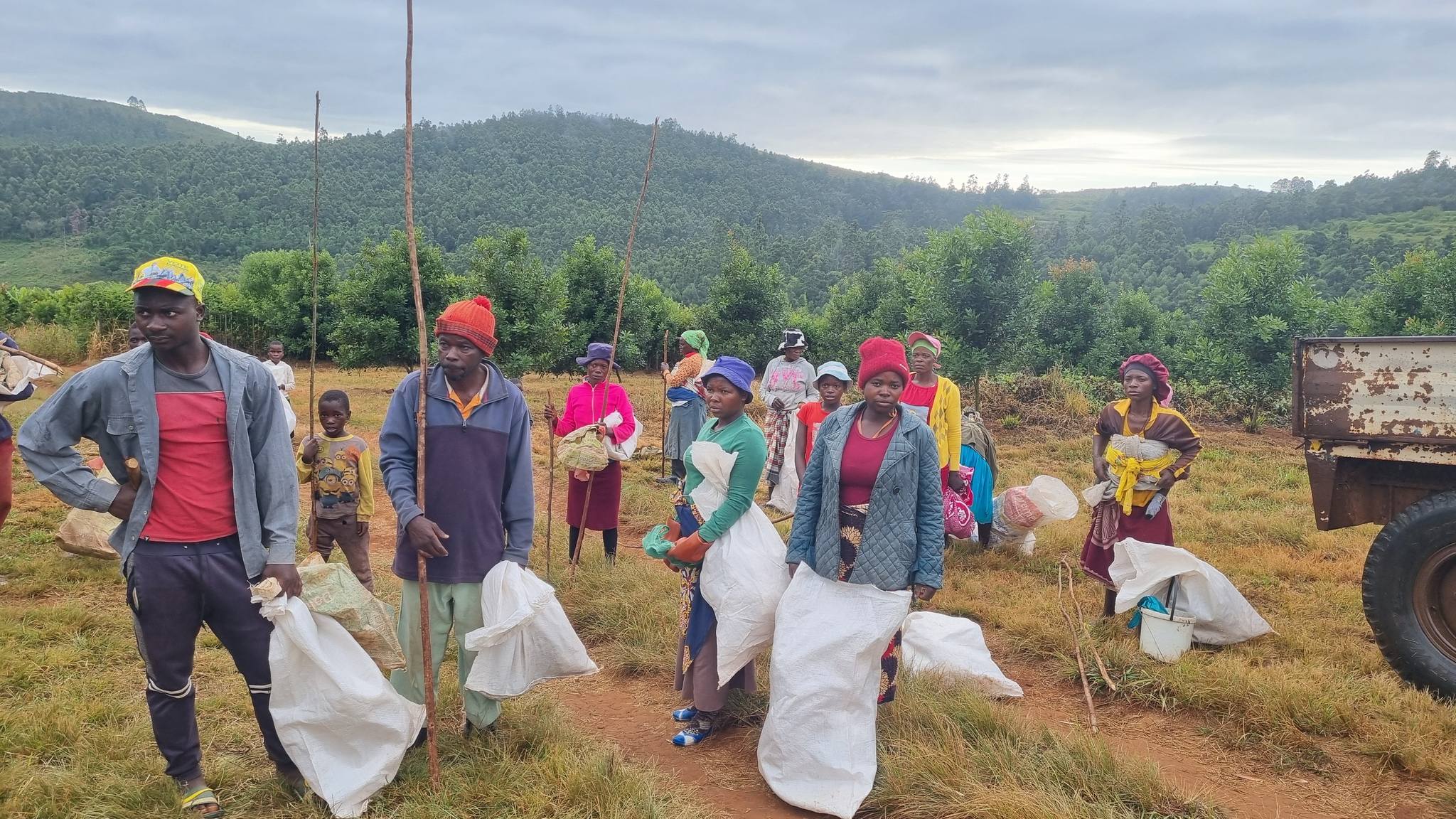 Macadamia Farming and Community Development in Zimbabwe
