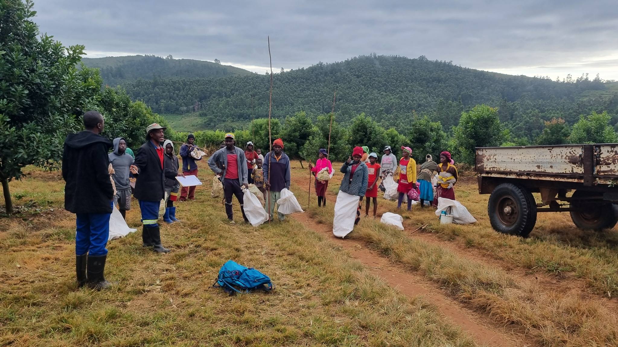 Harvest Time: Inside Our Macadamia Processing Operation